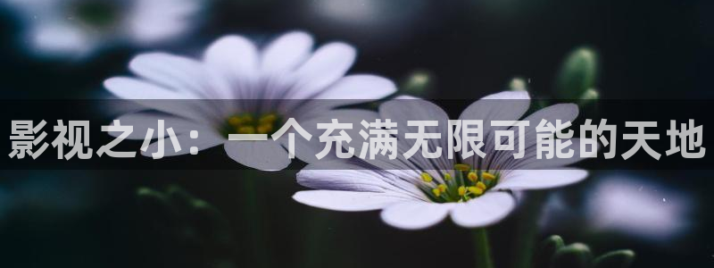 青苹果影院理论电影：影视之小：一个充满无限可能的天地