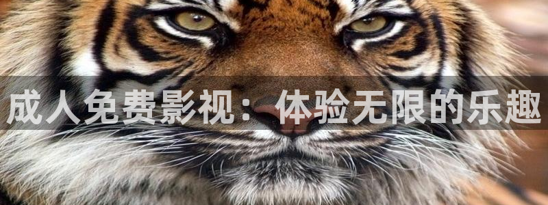 青苹果影院6080：成人免费影视：体验无限的乐趣