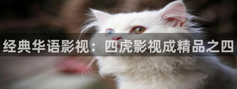 4488青苹果院影电影：经典华语影视：四虎影视成精品之四