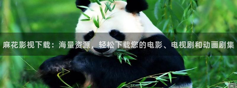 4480yy万达青苹果影院：麻花影视下载：海量资源，轻松下载您的电影、电视剧和动画剧集
