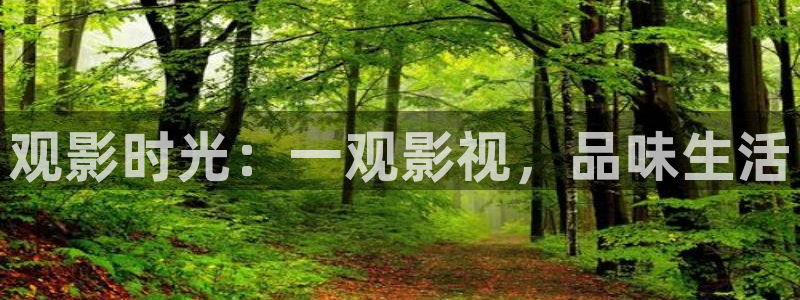 青苹果影院打扑克：观影时光：一观影视，品味生活