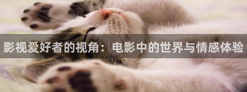 青苹果乐园影院电视剧免费播：影视爱好者的视角：电影中的世界与情感体验